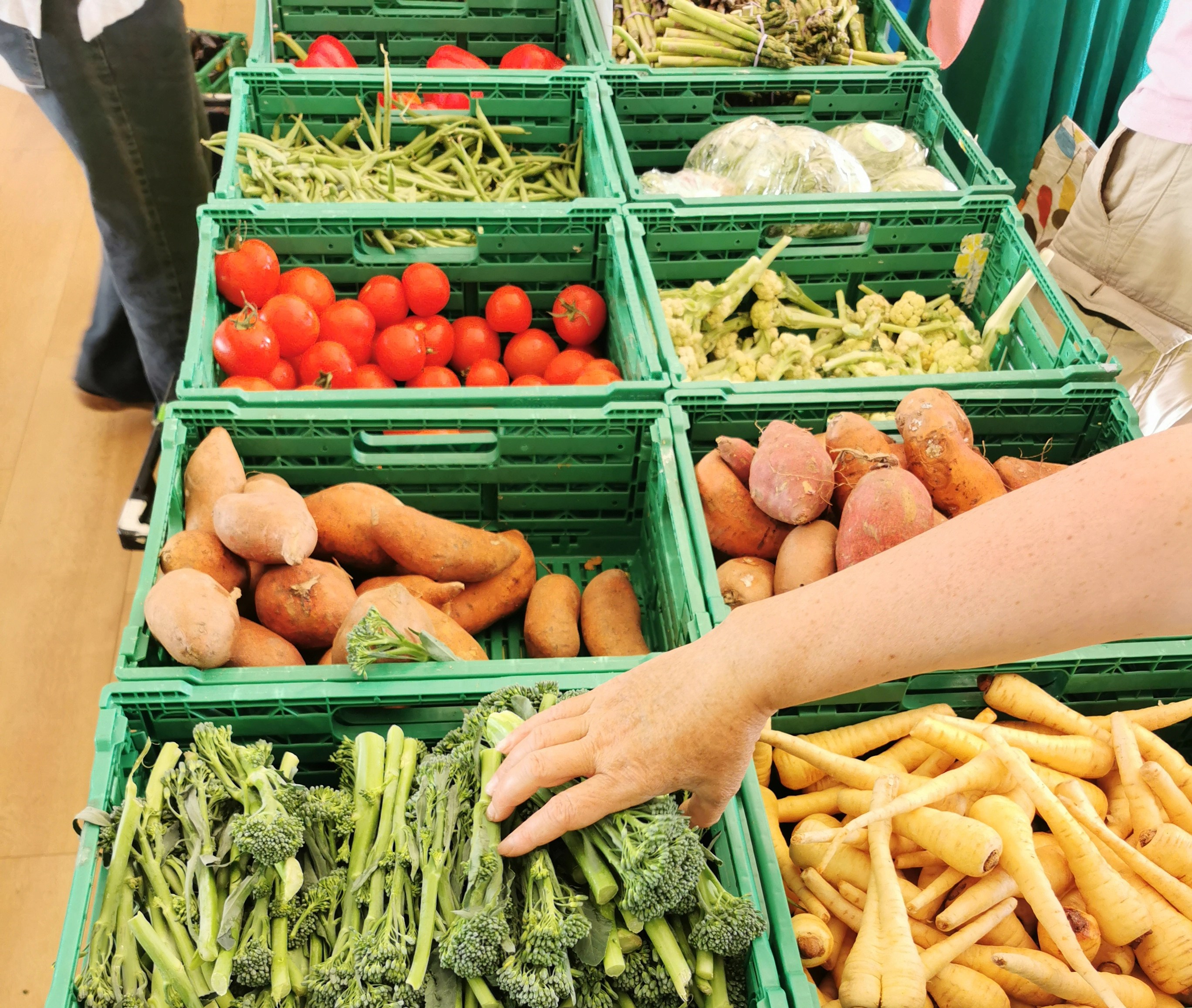 Giving Back: Beneficiaries’ Empowerment through Volunteering with UK Harvest and St Wilfrid’s Hospice