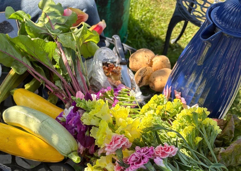 Beautiful bounty at the allotment